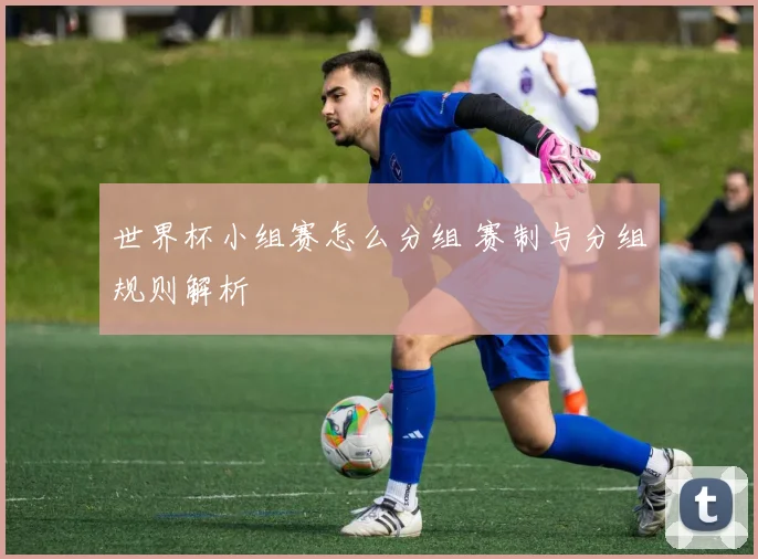 世界杯小组赛怎么分组 赛制与分组规则解析