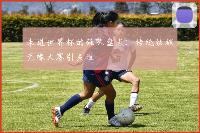 未进世界杯的强队盘点:传统劲旅无缘大赛引关注